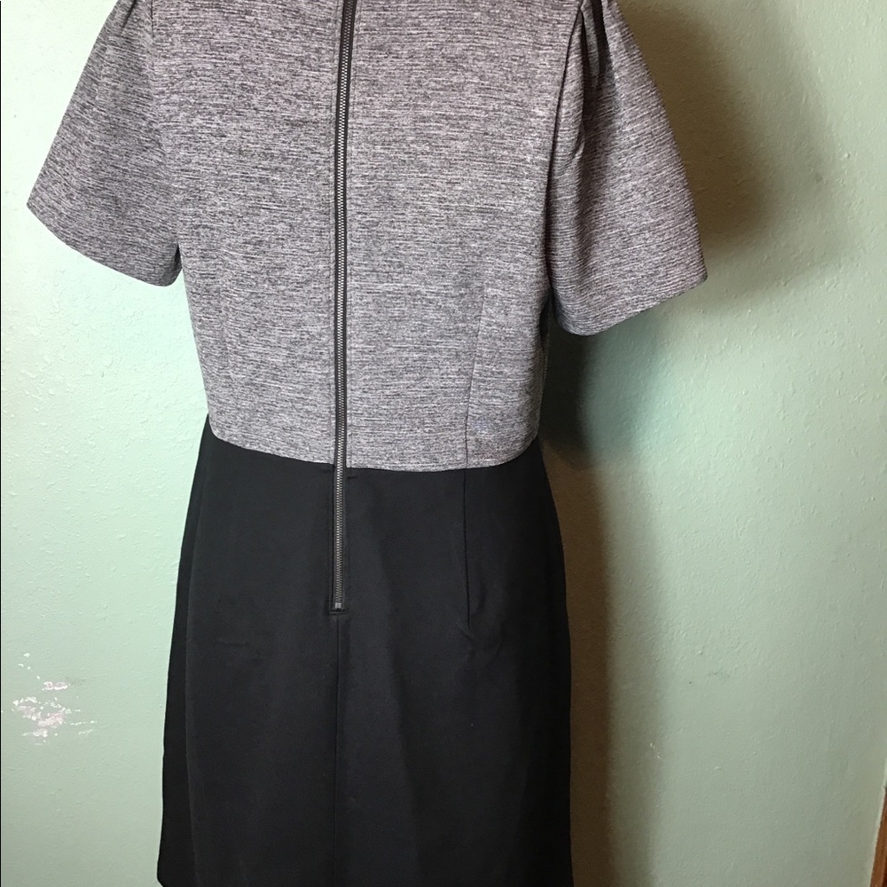 Loft women’s black/gray back zip dress size 12 - Picture 2 of 6